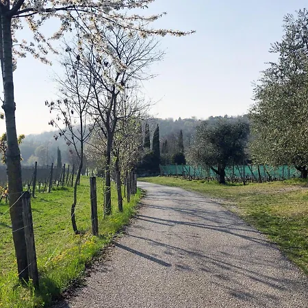 La Torretta Del Degli Ulivi Lägenhet *